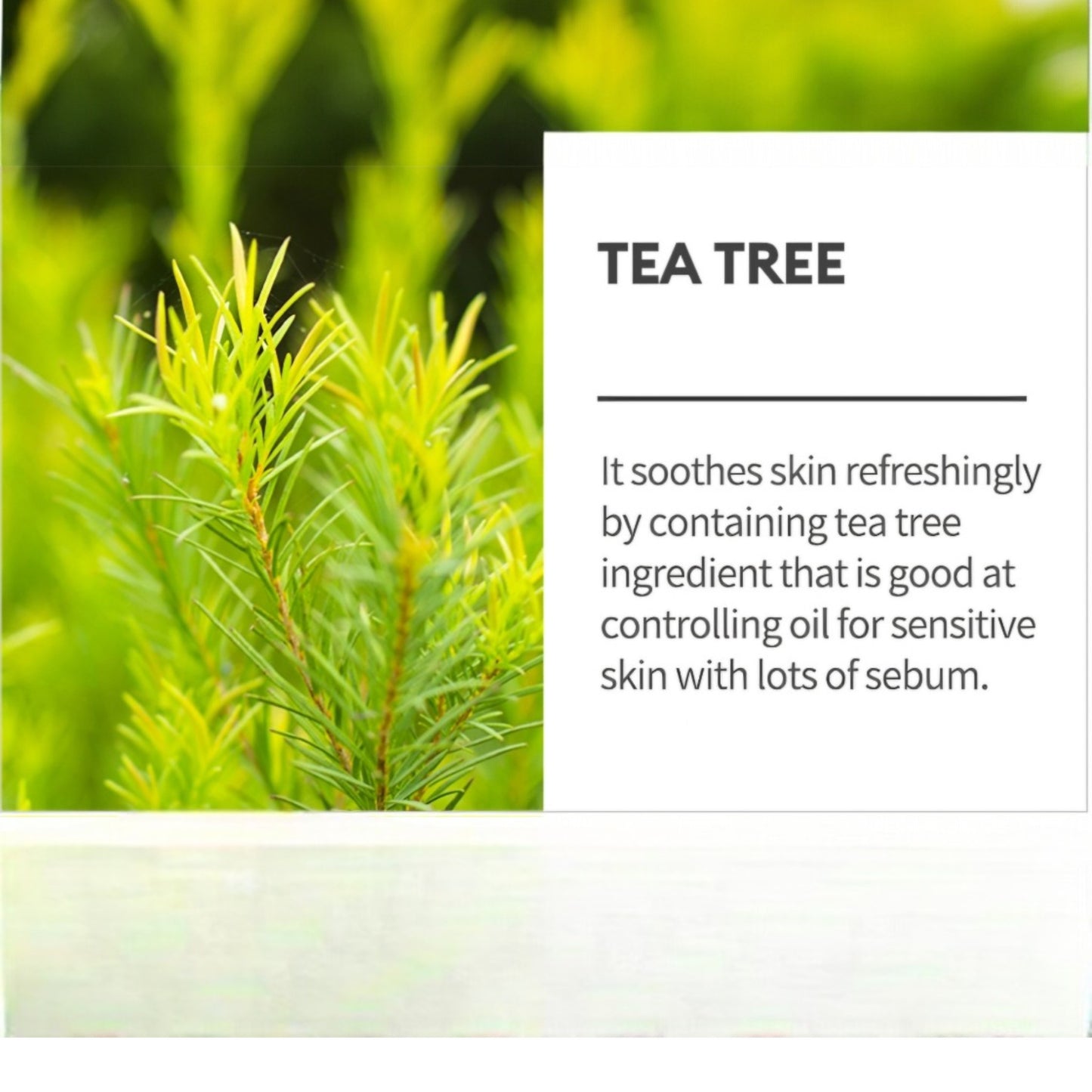 MISSHA Airy Fit Sheet Mask Tea Tree, mască de față calmantă cu arbore de ceai care purifică și echilibrează pielea