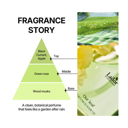 Piramida notelor parfumului Lador Perfumed Hair Oil Our Leaf